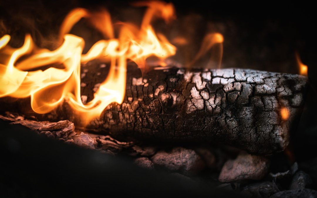 Dinas Damkar Penajam Paser Utara Tangani Pohon Tumbang di Area Wisata